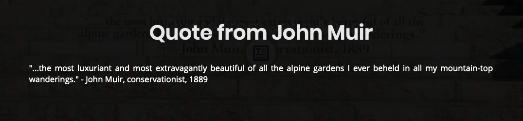 outworldtext.png